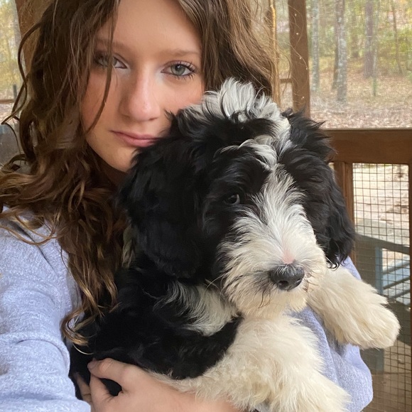 🌸Posh Ambassador 🌸  Paula and Addison 🦋👠💍❤️😇 - Picture 2 of 8